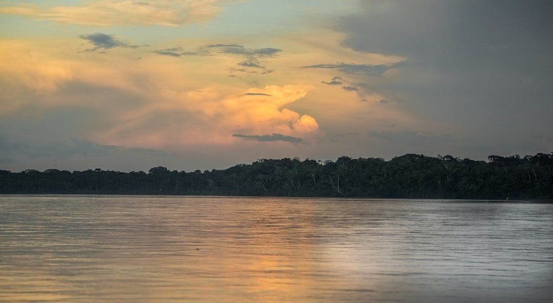 drought in amazon rainforest